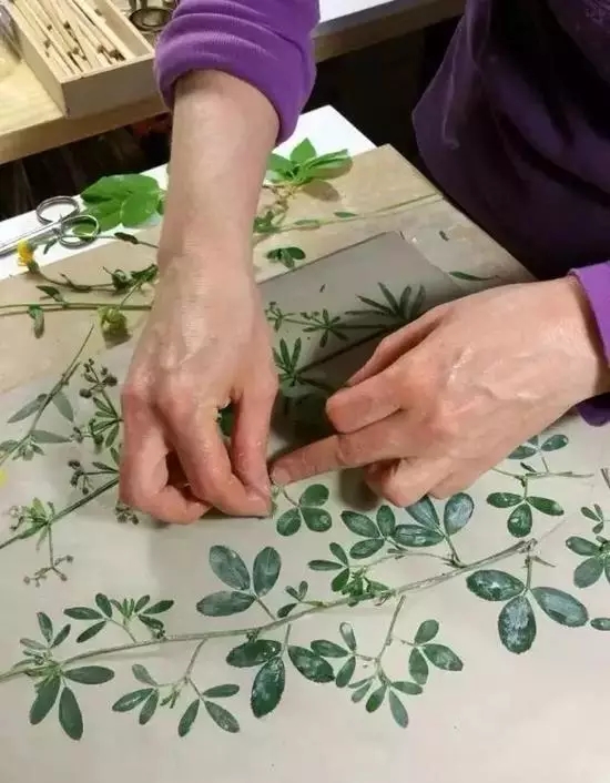 1507602590543529.jpg 20171010_102629_207.jpg