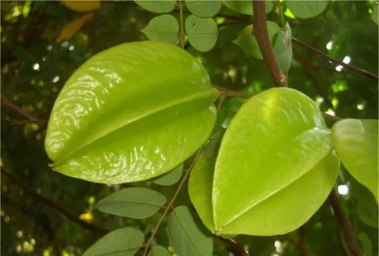 1665727578341332.jpg 1665727578341332.jpg