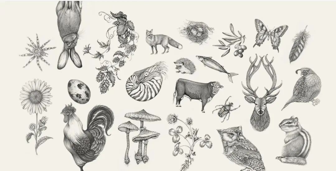 1665733268815158.jpg 1665733268815158.jpg