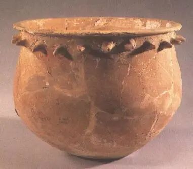 1665968796866988.jpg 1665968796866988.jpg